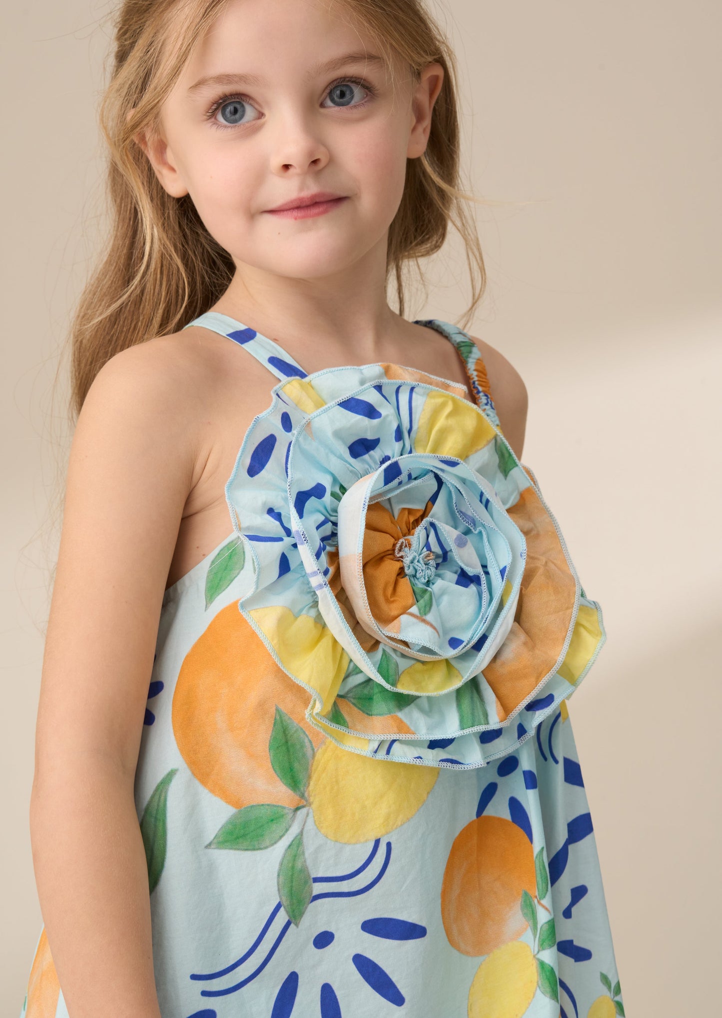 Carrie Multi Print Swing Corsage Dress