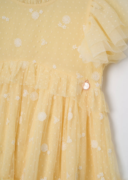 Luisa Sunshine Embroidered Mesh Dress
