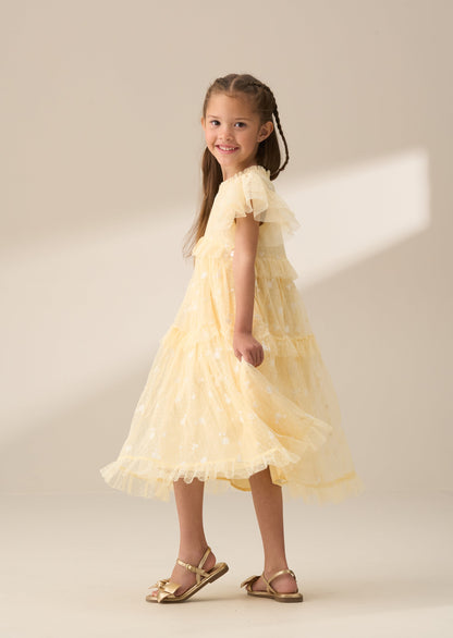 Luisa Sunshine Embroidered Mesh Dress