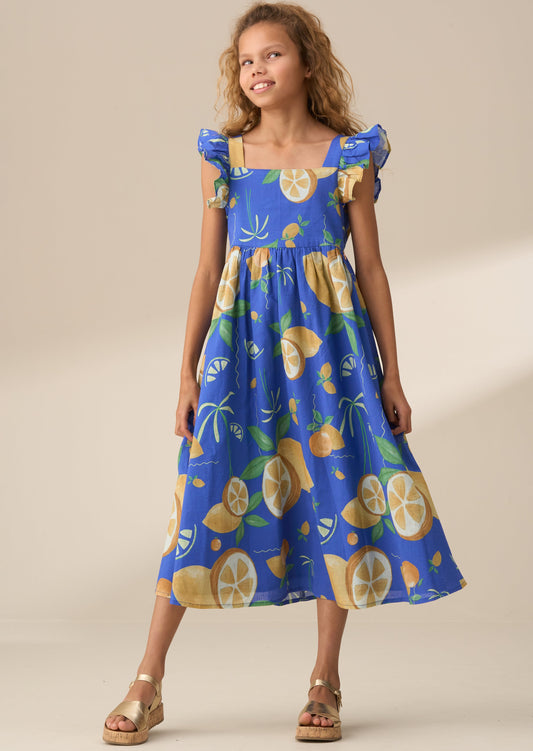 Maxine Multi Print Maxi Dress