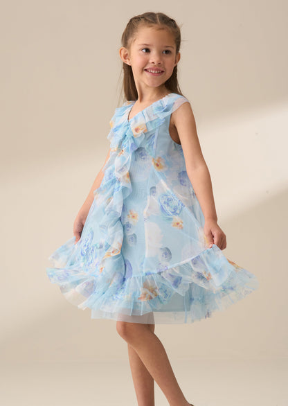 Lia Blue Printed Frill Mesh Dress