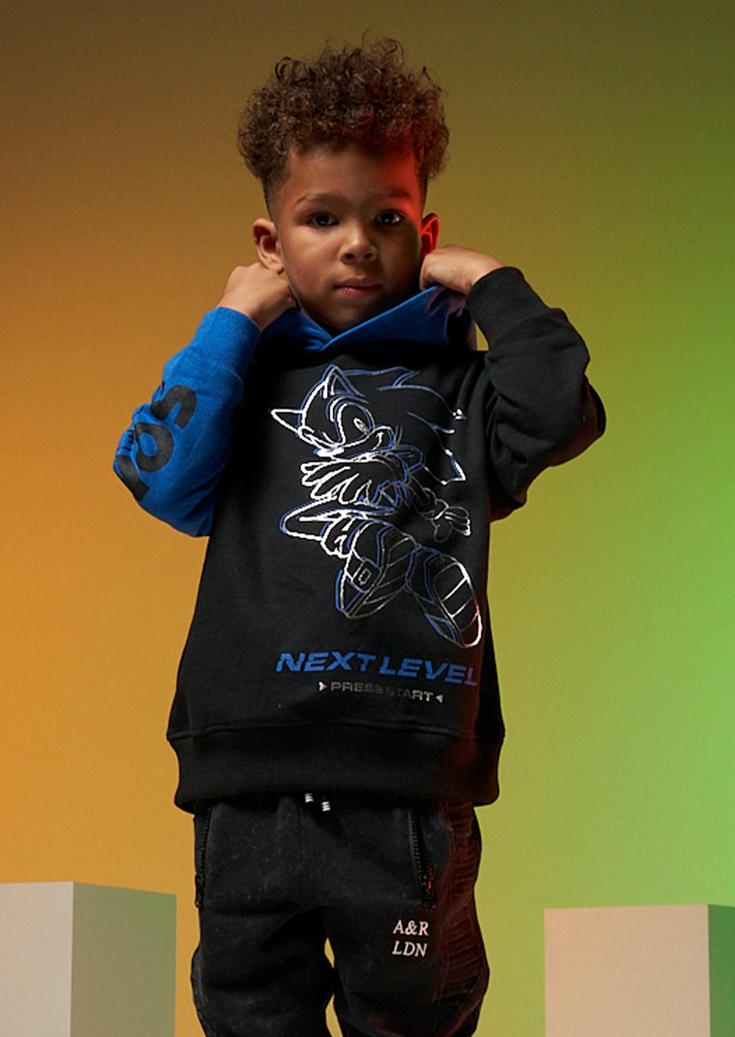 Sonic Hoodie