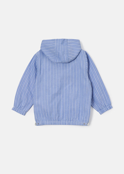 Leo Stripe Blue Hoodie