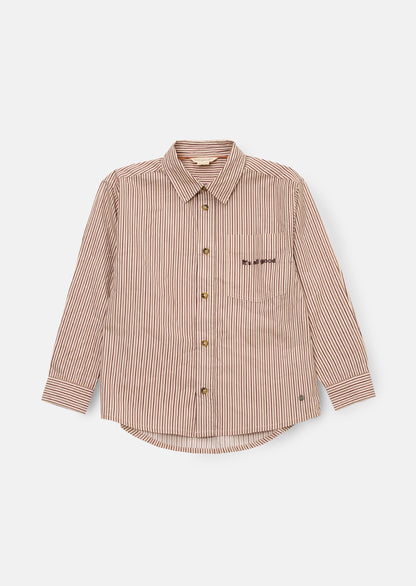 Aiden Fine Stripe Shirt
