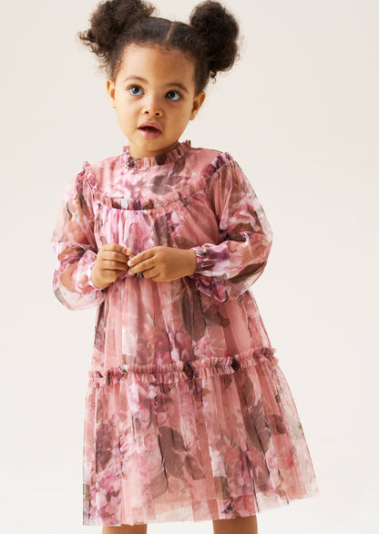 Eleanor Floral Print Mesh Dress