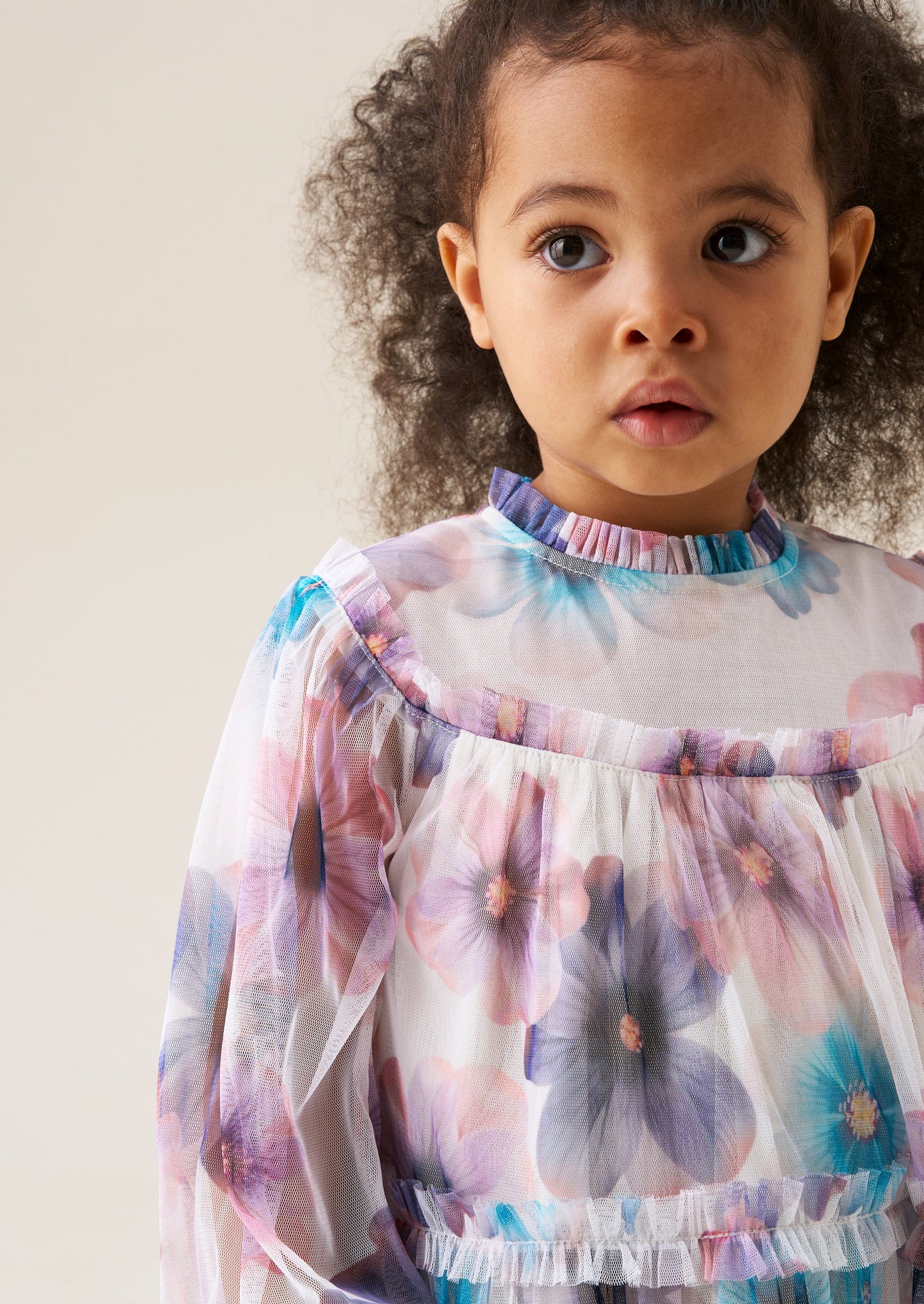 Alessia Floral Print Mesh Dress