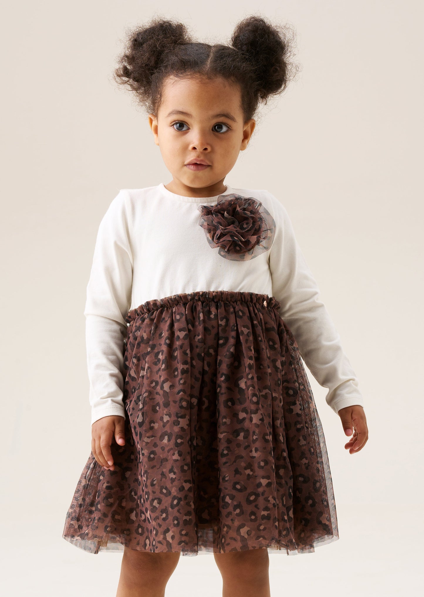 Carrie Corsage Tutu Dress