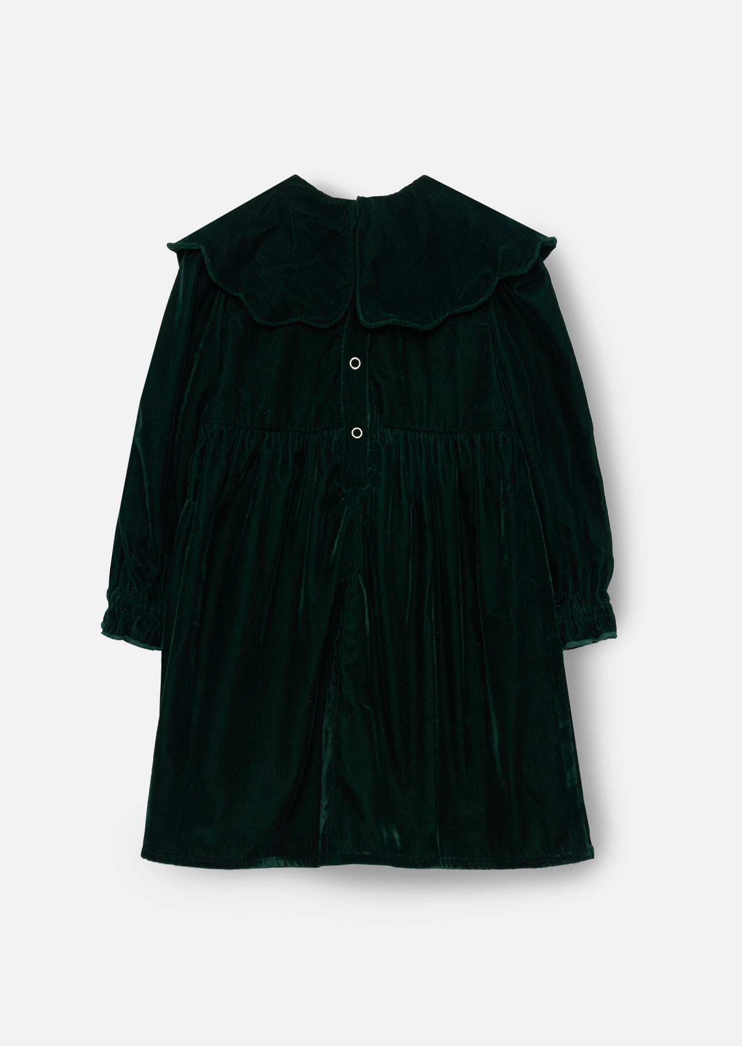 Dotty Scalloped Embroidered Collar Velvet Dress