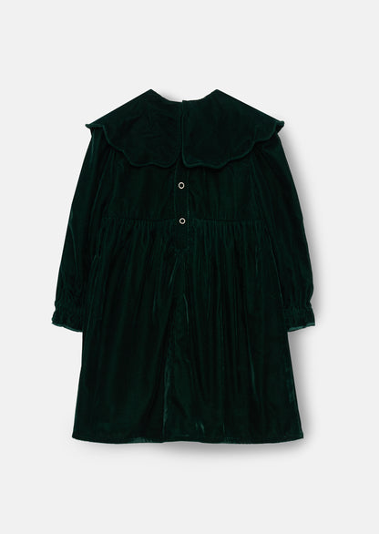 Dotty Scalloped Embroidered Collar Velvet Dress