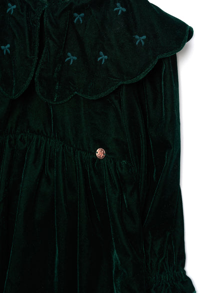 Dotty Scalloped Embroidered Collar Velvet Dress