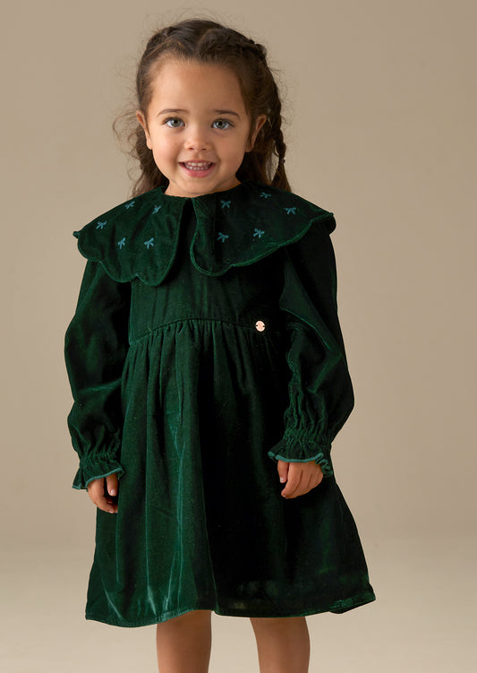 Dotty Scalloped Embroidered Collar Velvet Dress