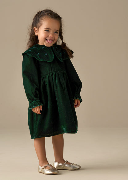 Dotty Scalloped Embroidered Collar Velvet Dress