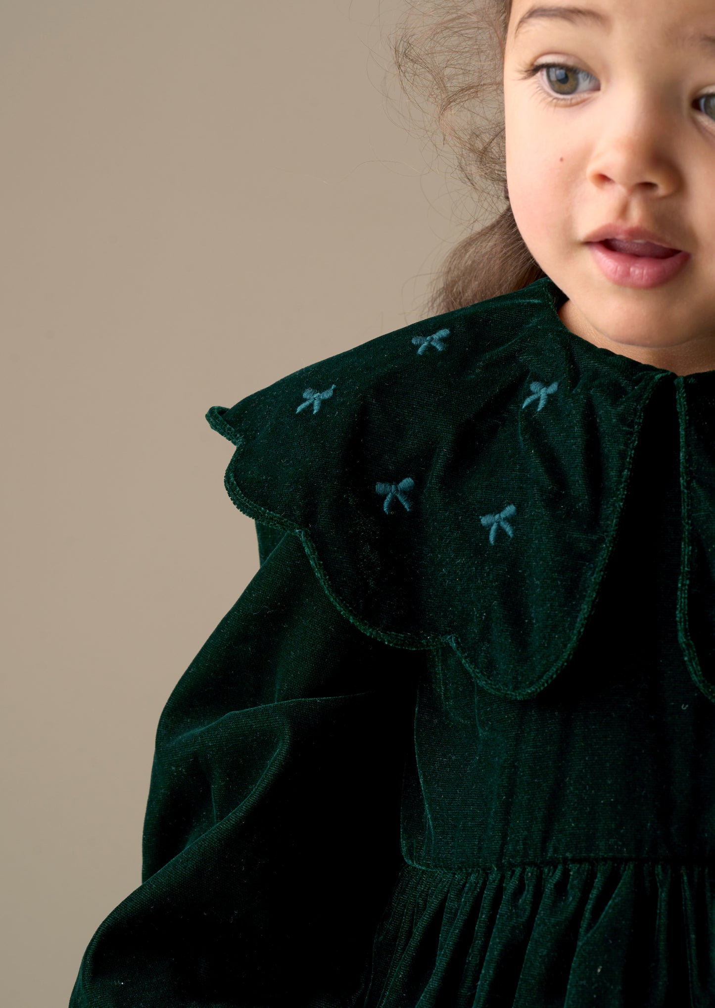 Dotty Scalloped Embroidered Collar Velvet Dress