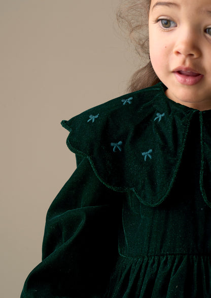 Dotty Scalloped Embroidered Collar Velvet Dress