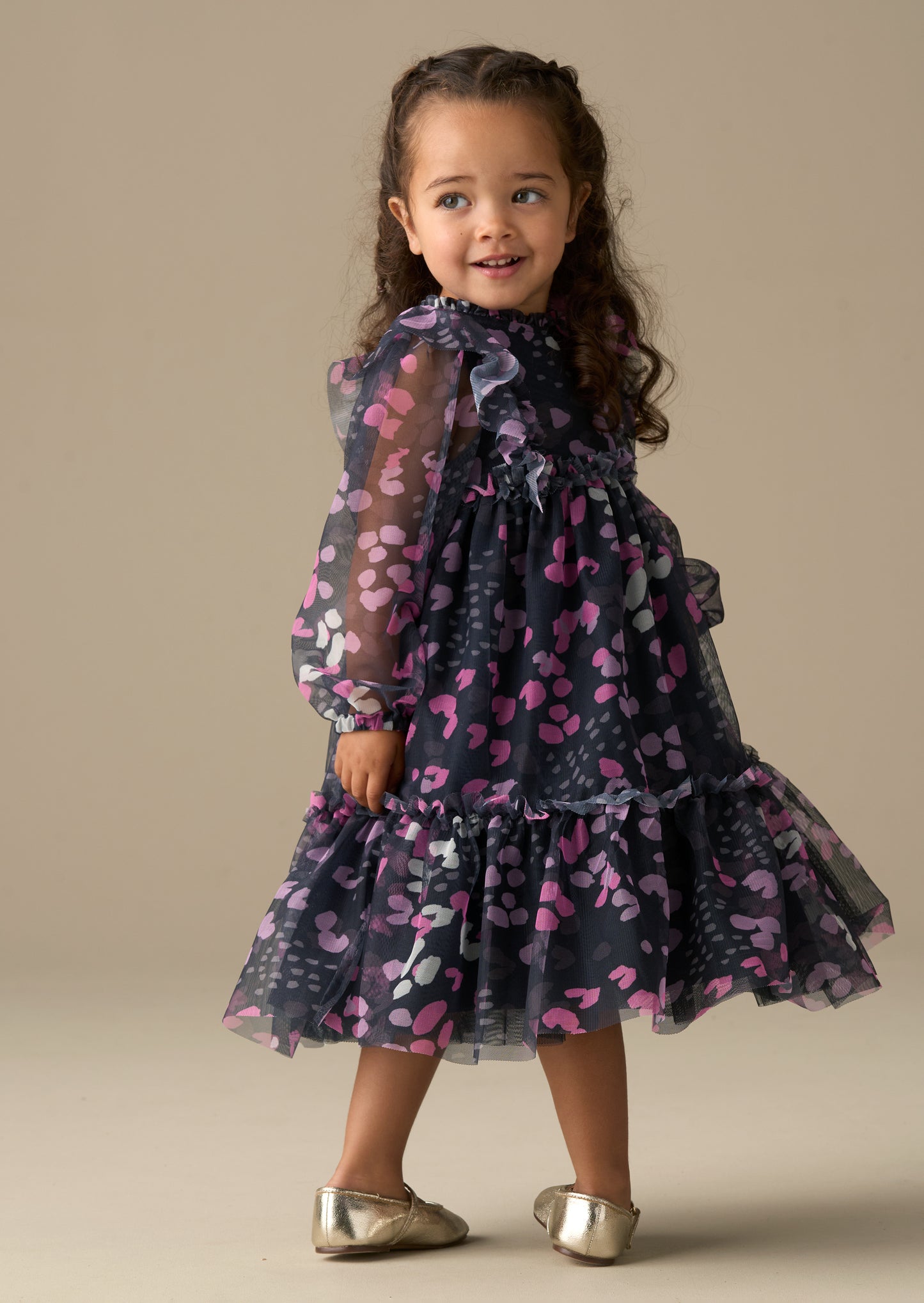 Cara Print Mesh Dress