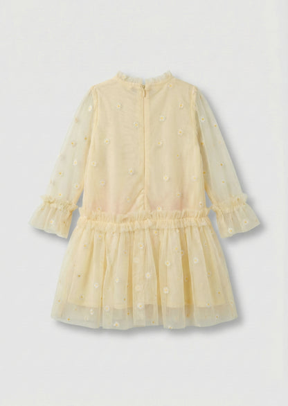 Neve Daisy Embroidered Mesh Dress