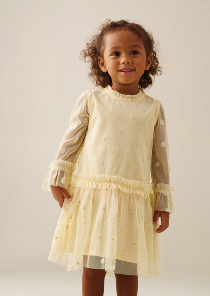 Neve Daisy Embroidered Mesh Dress