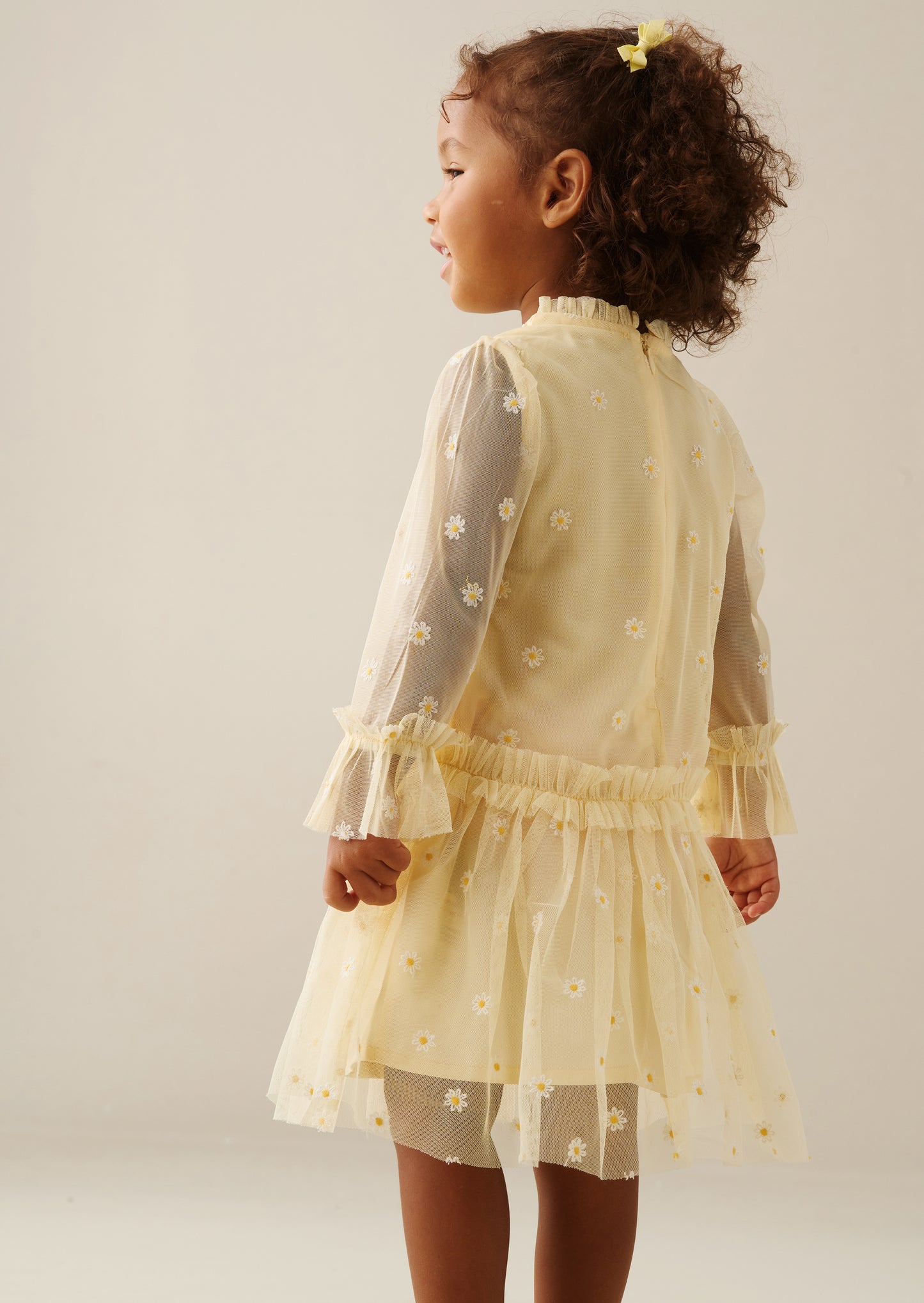 Neve Daisy Embroidered Mesh Dress