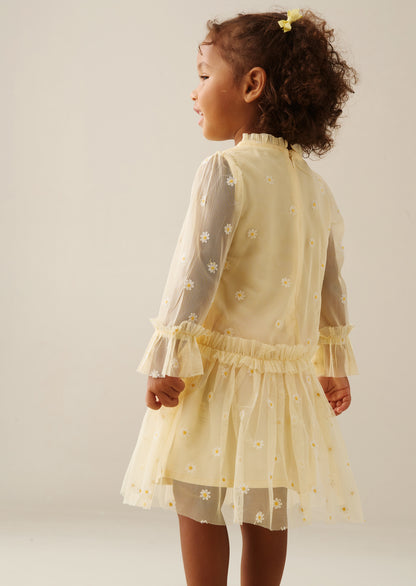 Neve Daisy Embroidered Mesh Dress