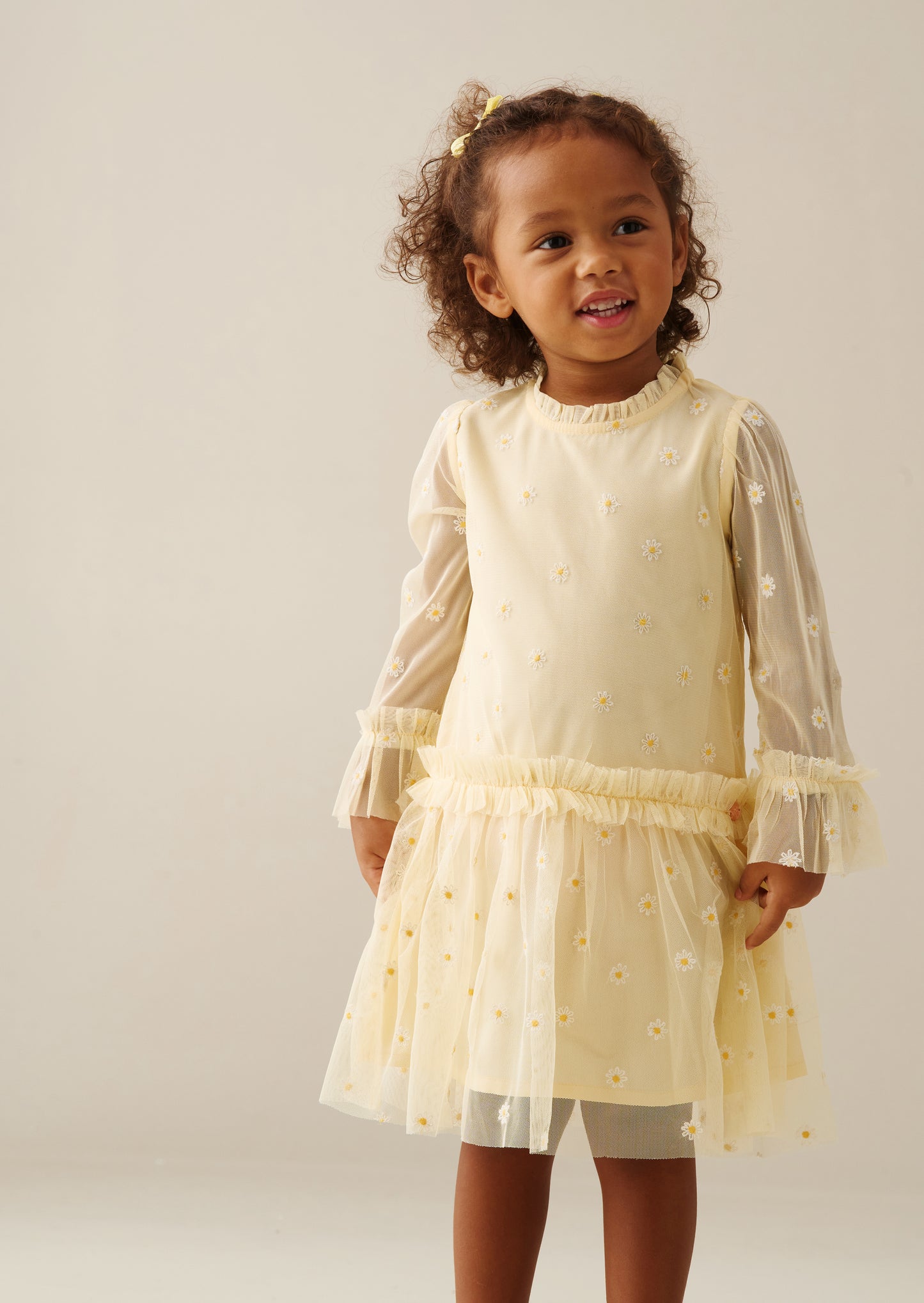 Neve Daisy Embroidered Mesh Dress