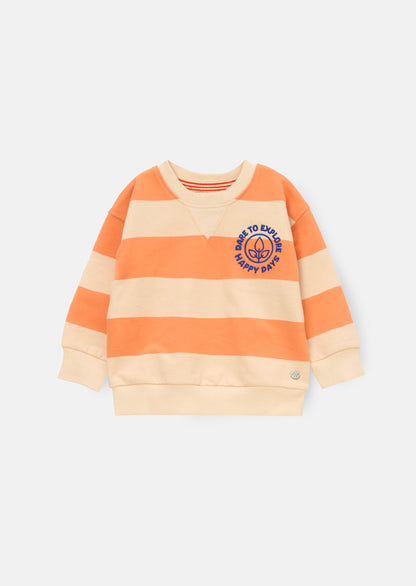 Declan Mini Stripe Sweatshirt