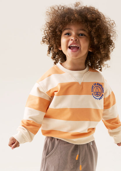 Declan Mini Stripe Sweatshirt