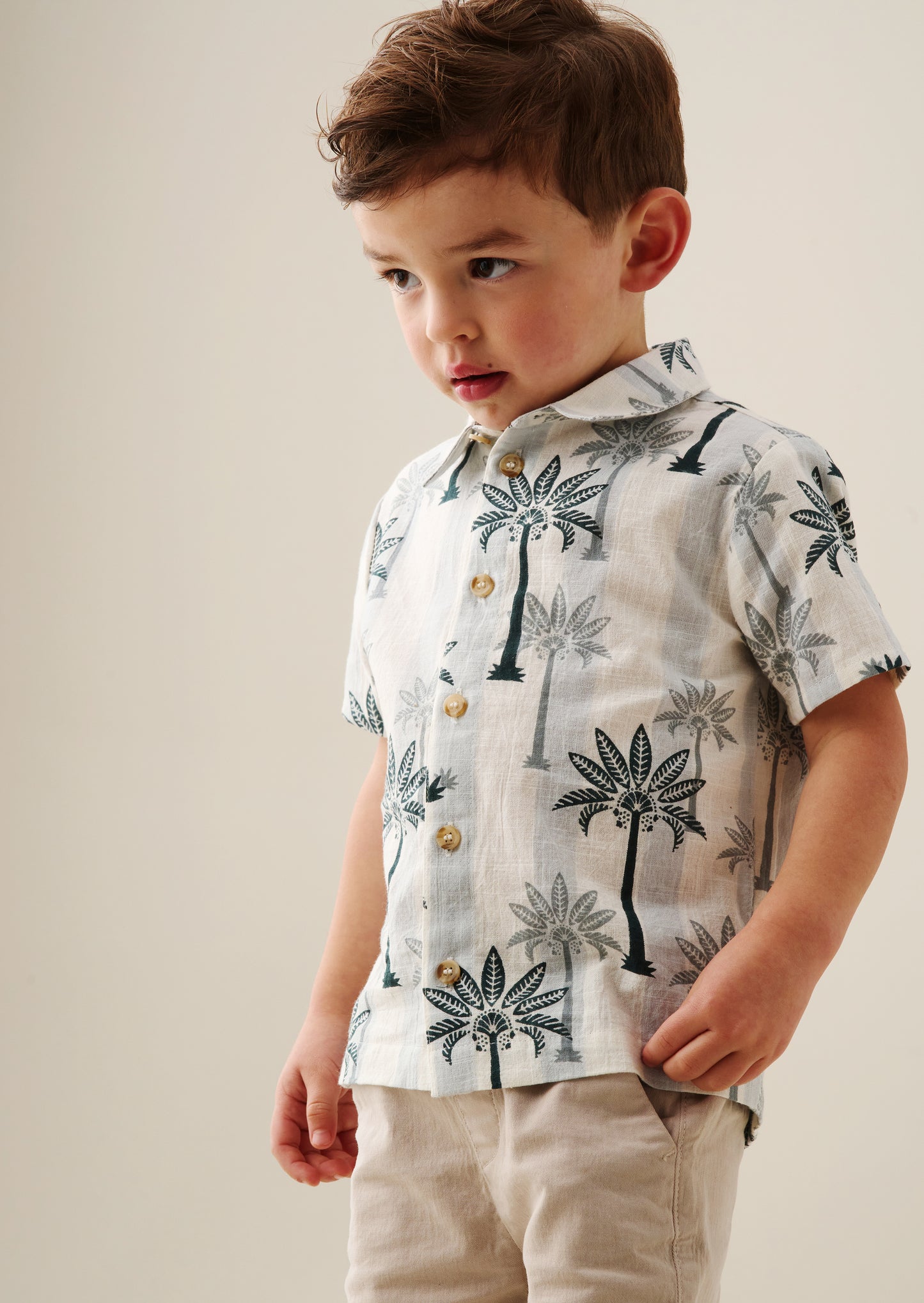 Jamie Palm Stripe Shirt