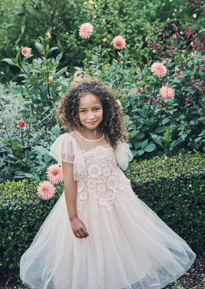 Anelise Blush Cascade Lace Dress