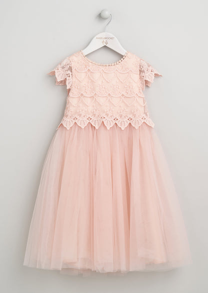 Lucy Lace Bodice Dress Blush