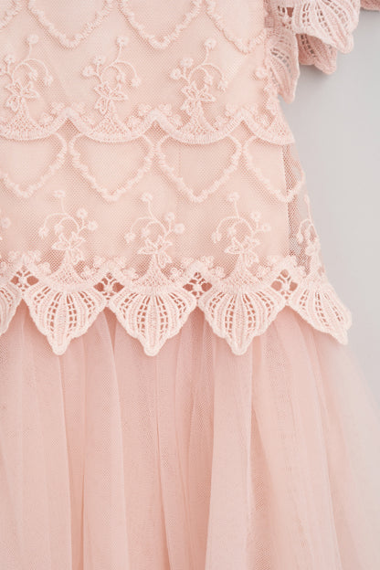 Lucy Lace Bodice Dress Blush