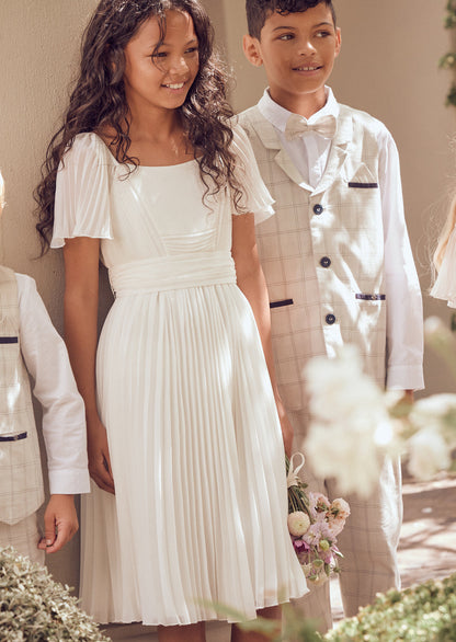 Camille Pleated Georgette Dress