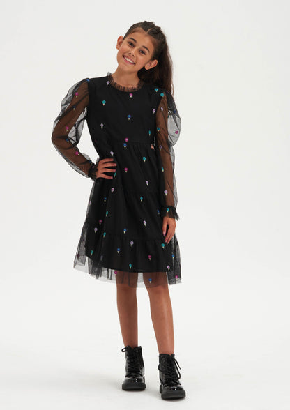 Daisy Mesh Embroidered Dress