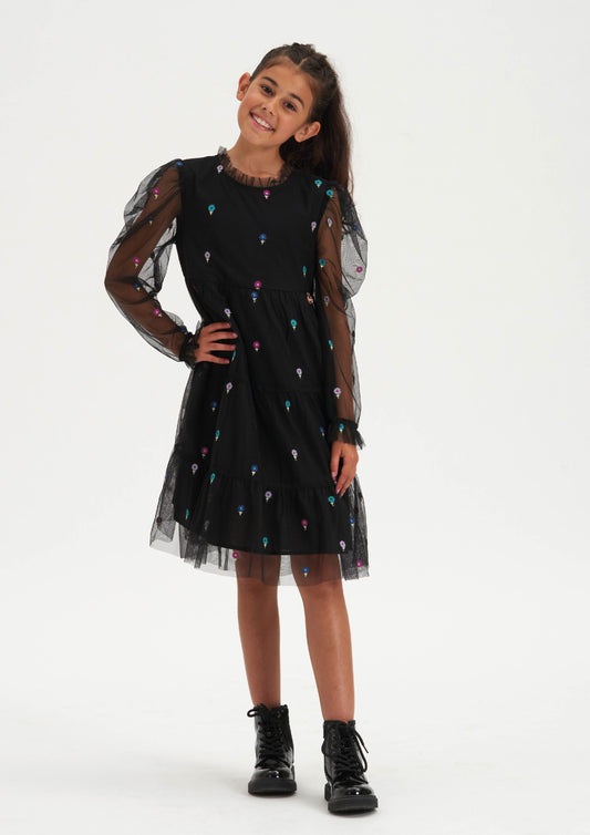 Daisy Mesh Embroidered Dress